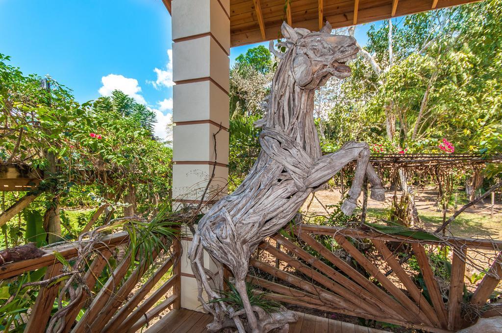 Dream Valley Belize Teakettle Village Exterior foto