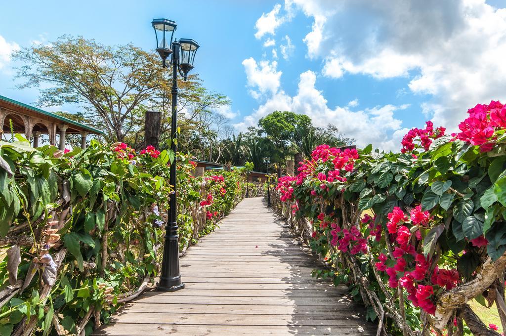Dream Valley Belize Teakettle Village Exterior foto