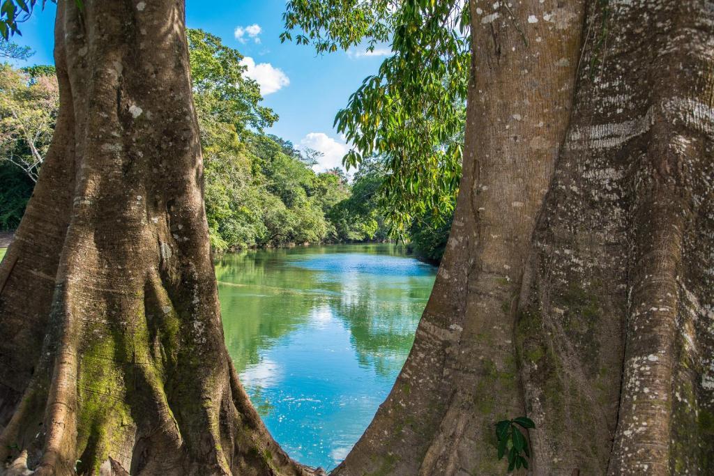 Dream Valley Belize Teakettle Village Exterior foto